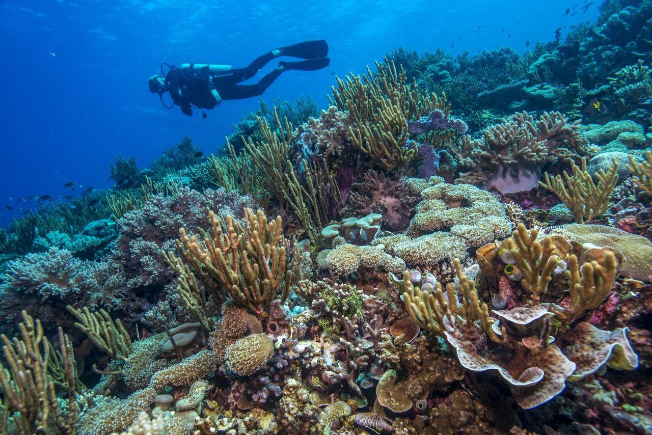 Atauro Dive Resort Beloi Bagian luar foto