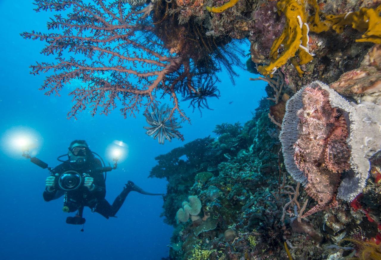 Atauro Dive Resort Beloi Bagian luar foto