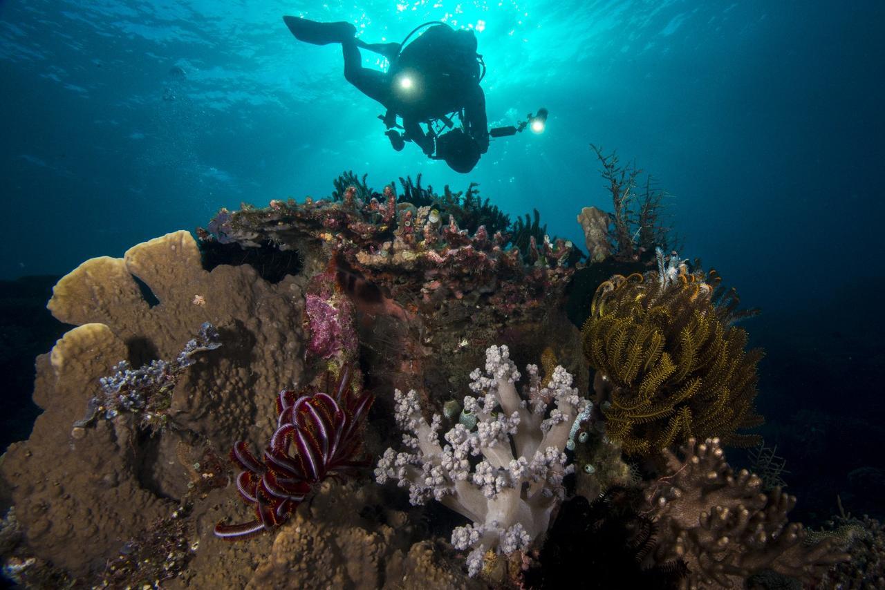Atauro Dive Resort Beloi Bagian luar foto